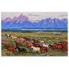 Horse Crossing - Yellowstone Style