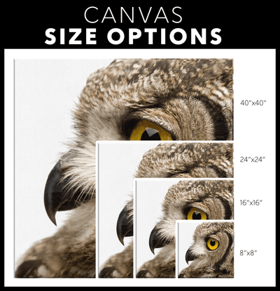 Spotted Eagle Owl Profile - Left - 4 sizes available - Yellowstone Style