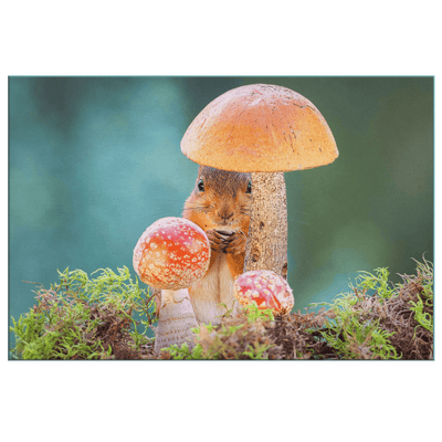 A Squirrel in the Mushrooms - 5 sizes available - Yellowstone Style