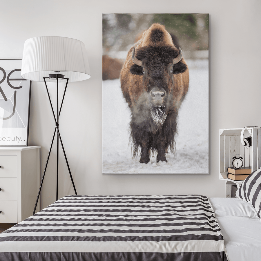 American Bison in the Winter - 5 sizes available - Yellowstone Style