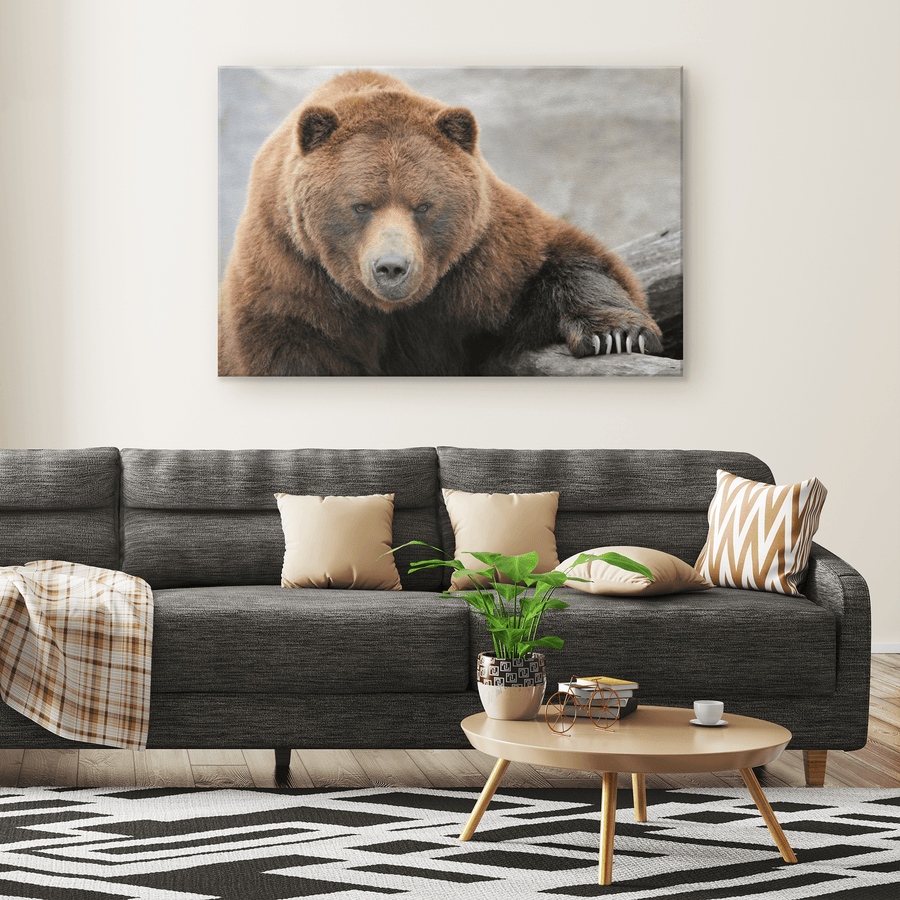 Grizzly Bear - 5 sizes available