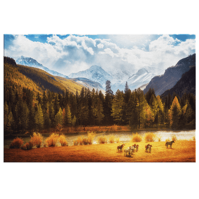High Country Meadow - Yellowstone Style