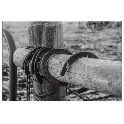 Horse Shoes on Fence Post
