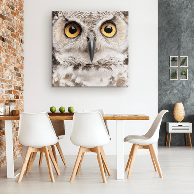 Spotted Eagle Owl Portrait - 4 sizes available - Yellowstone Style