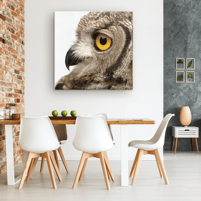 Spotted Eagle Owl Profile - Left - 4 sizes available - Yellowstone Style