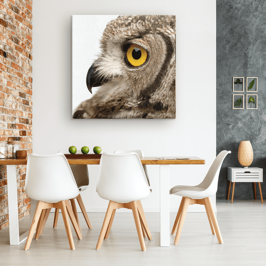 Spotted Eagle Owl Profile - Left - 4 sizes available