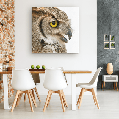 Spotted Eagle Owl Profile Right - 4 sizes available - Yellowstone Style