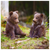 Two Little Bears in Contemplation - 4 sizes available